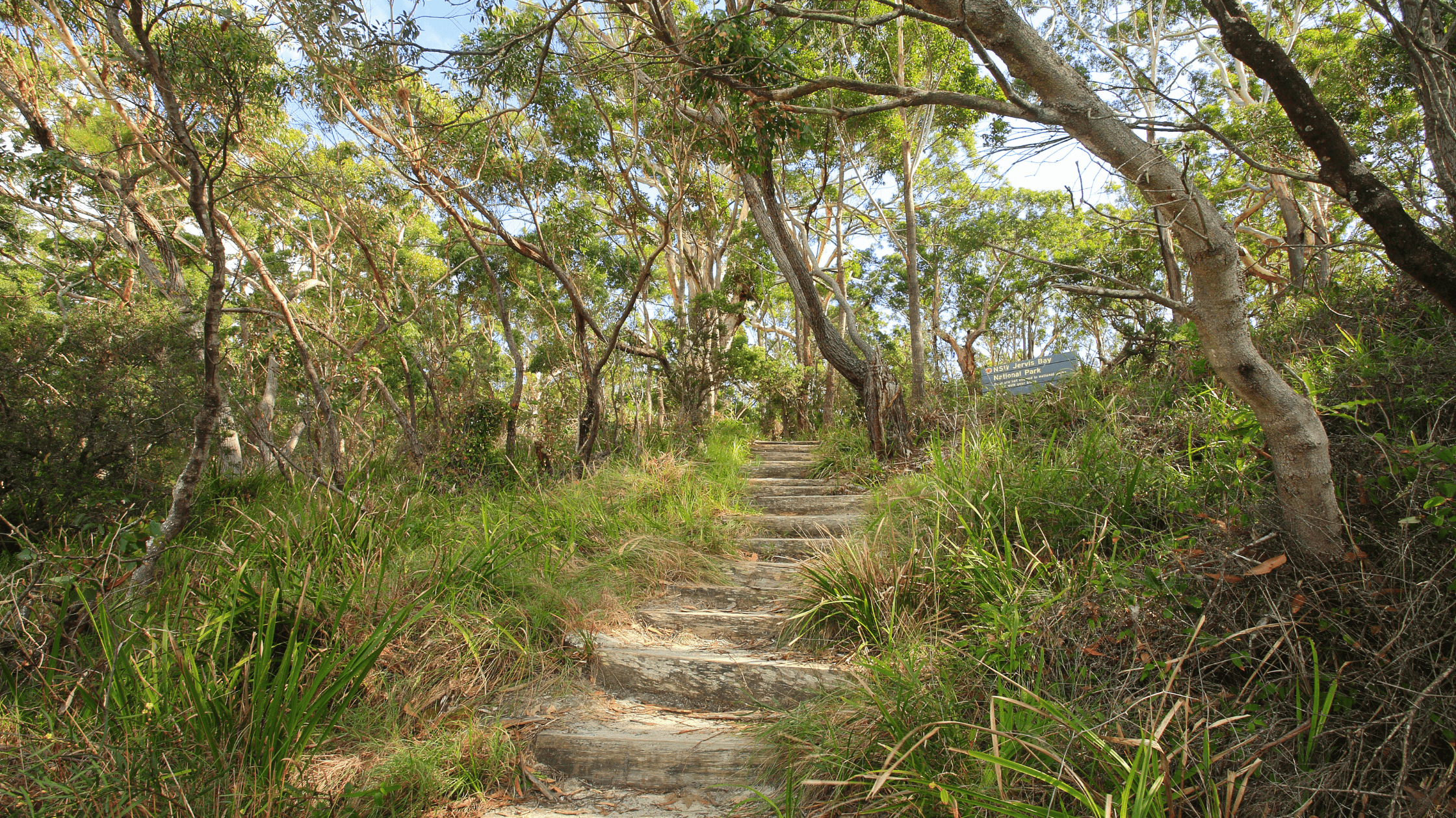 Bushfire Season – Protect Your Assets in the Upper North Shore